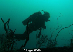 Deep dive on "Bianca C"  Grenada, WI by Roger Webb 